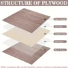 Walnut Plywood Sheets - High-Quality Real Wood